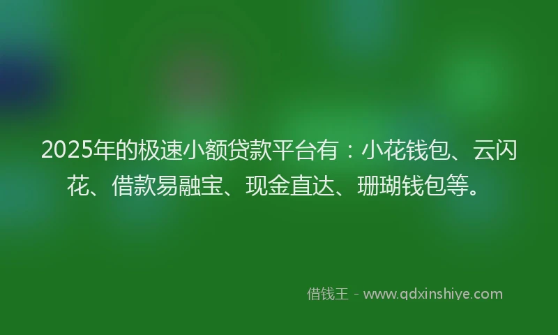 2025年的极速小额贷款平台有：小花钱包、云闪花、借款易融宝、现金直达、珊瑚钱包等。