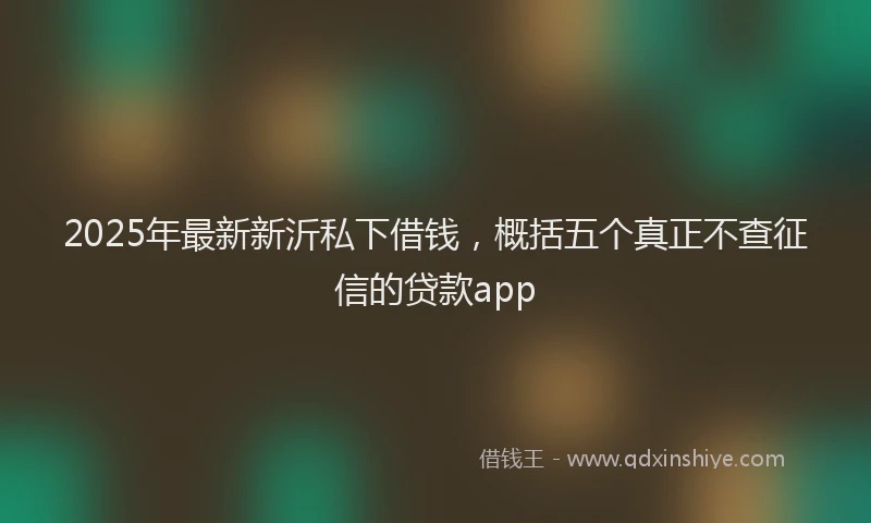 2025年最新新沂私下借钱，概括五个真正不查征信的贷款app