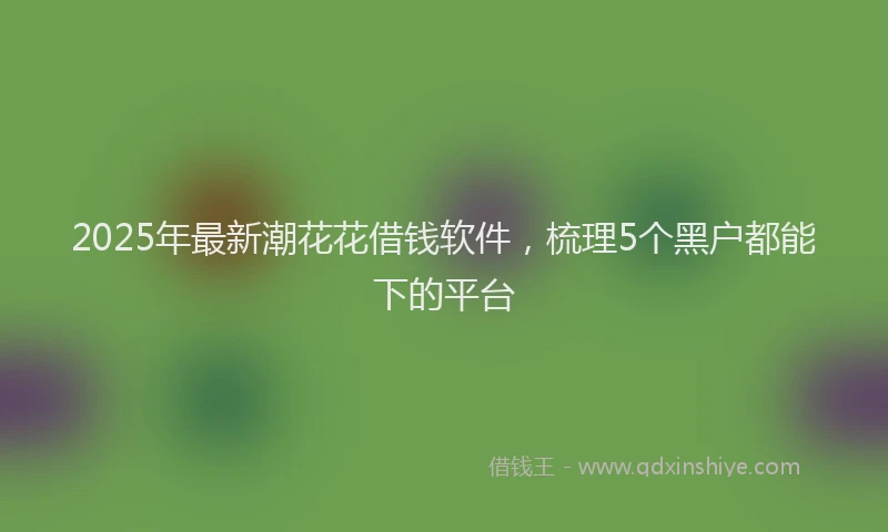 2025年最新潮花花借钱软件，梳理5个黑户都能下的平台