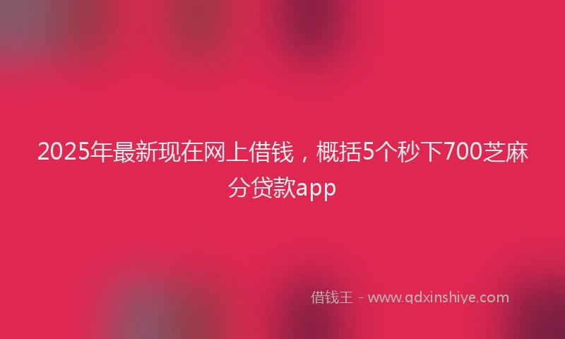 2025年最新现在网上借钱，概括5个秒下700芝麻分贷款app