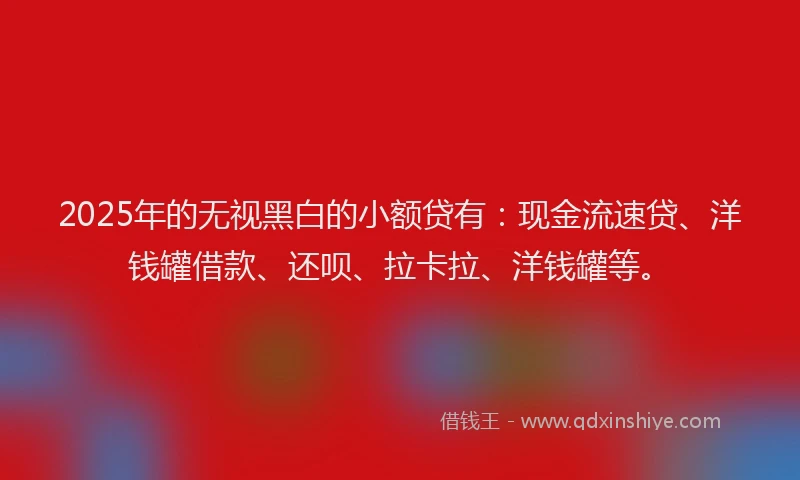 2025年的无视黑白的小额贷有：现金流速贷、洋钱罐借款、还呗、拉卡拉、洋钱罐等。
