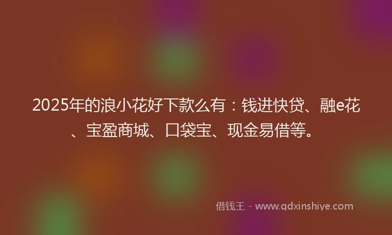 2025年的浪小花好下款么有：钱进快贷、融e花、宝盈商城、口袋宝、现金易借等。