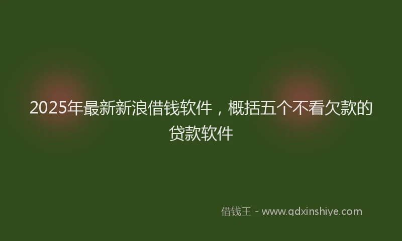2025年最新新浪借钱软件，概括五个不看欠款的贷款软件