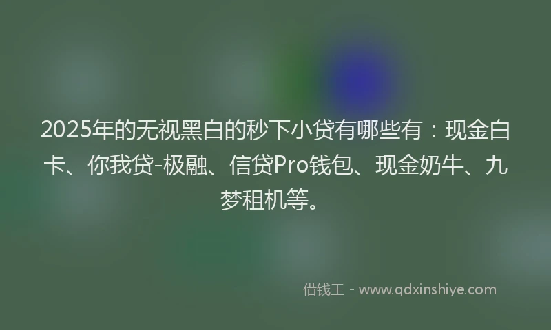2025年的无视黑白的秒下小贷有哪些有：现金白卡、你我贷-极融、信贷Pro钱包、现金奶牛、九梦租机等。