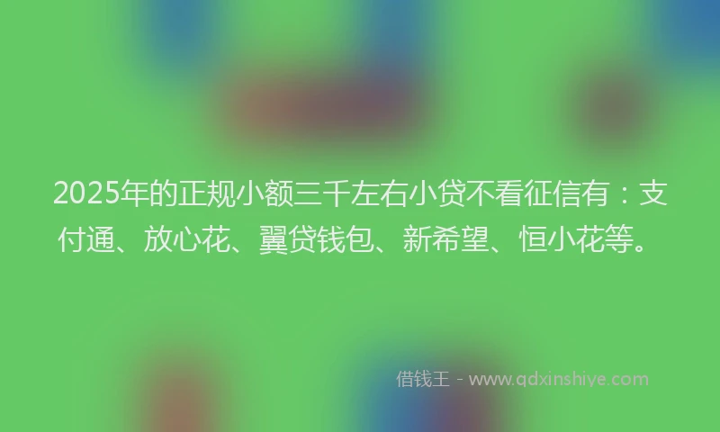 2025年的正规小额三千左右小贷不看征信有：支付通、放心花、翼贷钱包、新希望、恒小花等。