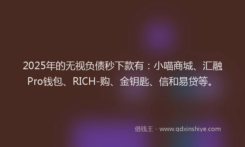 2025年的无视负债秒下款有：小喵商城、汇融Pro钱包、RICH-购、金钥匙、信和易贷等。