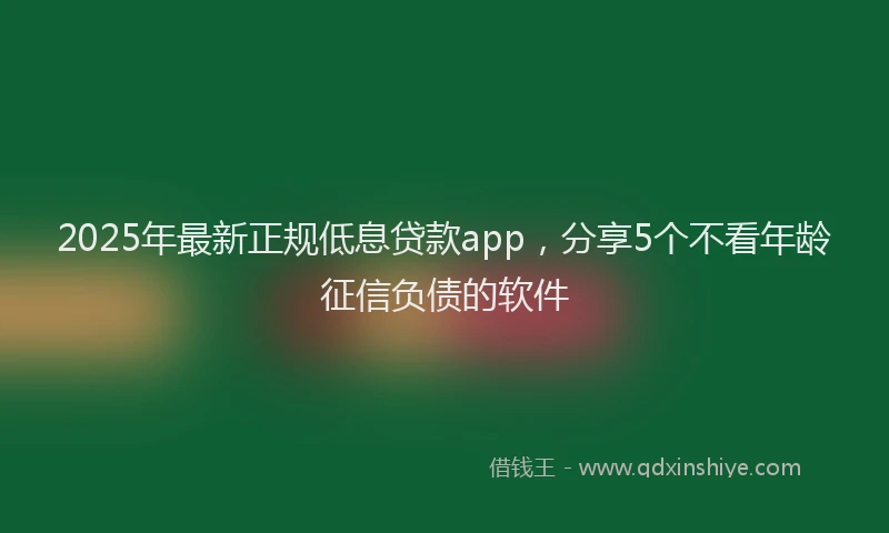 2025年最新正规低息贷款app，分享5个不看年龄征信负债的软件