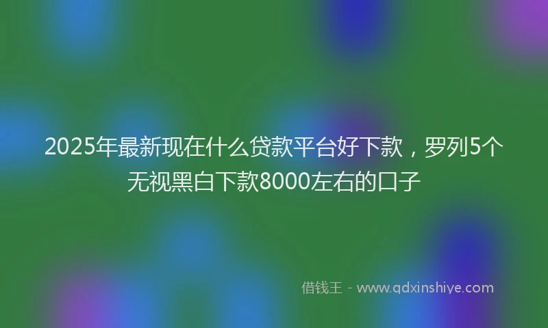 2025年最新现在什么贷款平台好下款，罗列5个无视黑白下款8000左右的口子