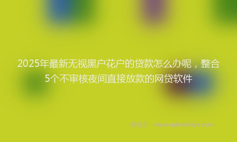 2025年最新无视黑户花户的贷款怎么办呢，整合5个不审核夜间直接放款的网贷软件