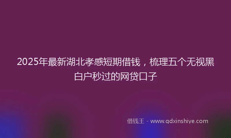 2025年最新湖北孝感短期借钱，梳理五个无视黑白户秒过的网贷口子