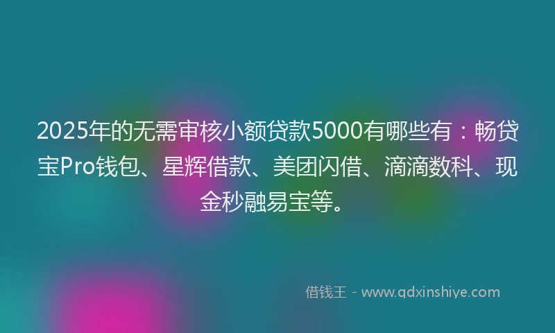 2025年的无需审核小额贷款5000有哪些有：畅贷宝Pro钱包、星辉借款、美团闪借、滴滴数科、现金秒融易宝等。