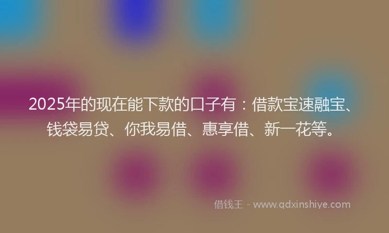 2025年的现在能下款的口子有：借款宝速融宝、钱袋易贷、你我易借、惠享借、新一花等。