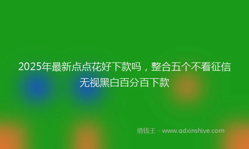 2025年最新点点花好下款吗，整合五个不看征信无视黑白百分百下款