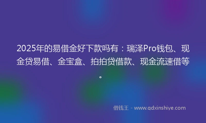 2025年的易借金好下款吗有：瑞泽Pro钱包、现金贷易借、金宝盒、拍拍贷借款、现金流速借等。