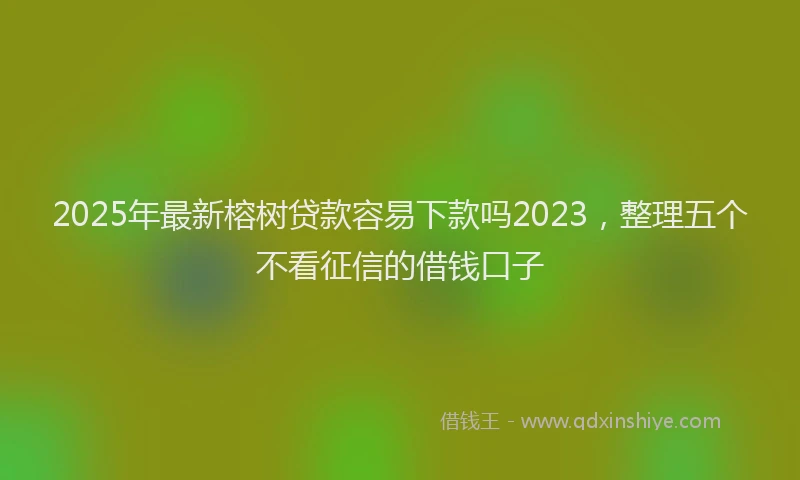 2025年最新榕树贷款容易下款吗2023，整理五个不看征信的借钱口子