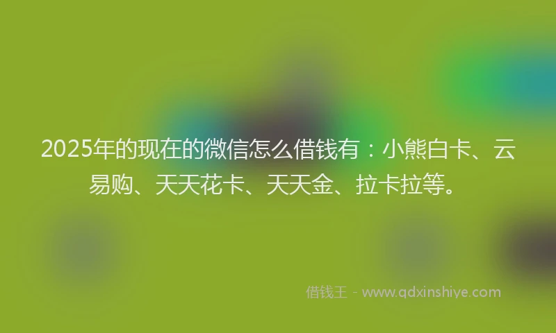 2025年的现在的微信怎么借钱有：小熊白卡、云易购、天天花卡、天天金、拉卡拉等。