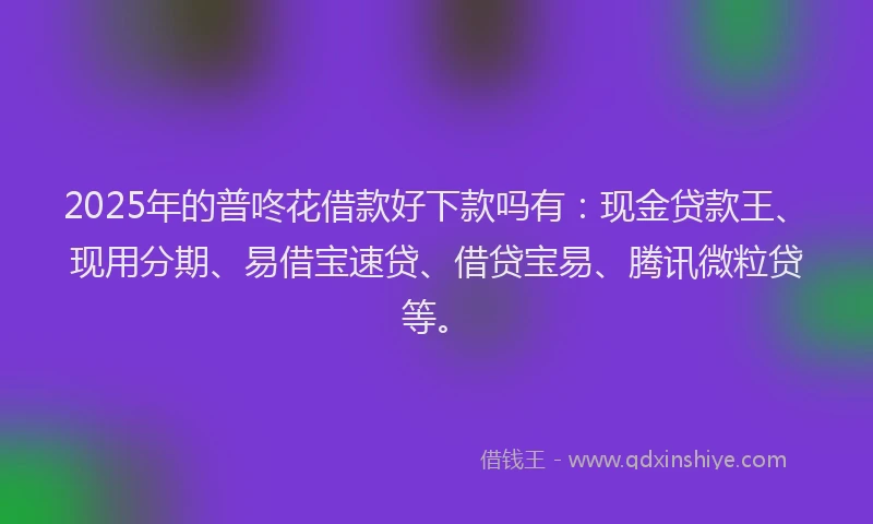 2025年的普咚花借款好下款吗有：现金贷款王、现用分期、易借宝速贷、借贷宝易、腾讯微粒贷等。
