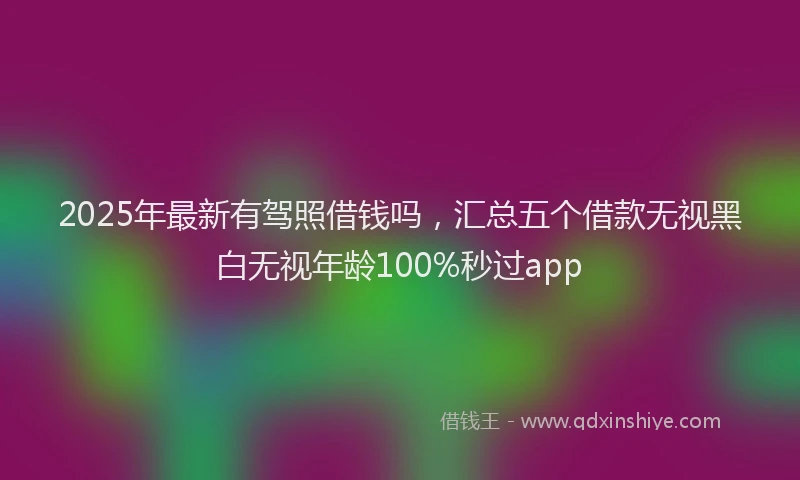 2025年最新有驾照借钱吗，汇总五个借款无视黑白无视年龄100%秒过app