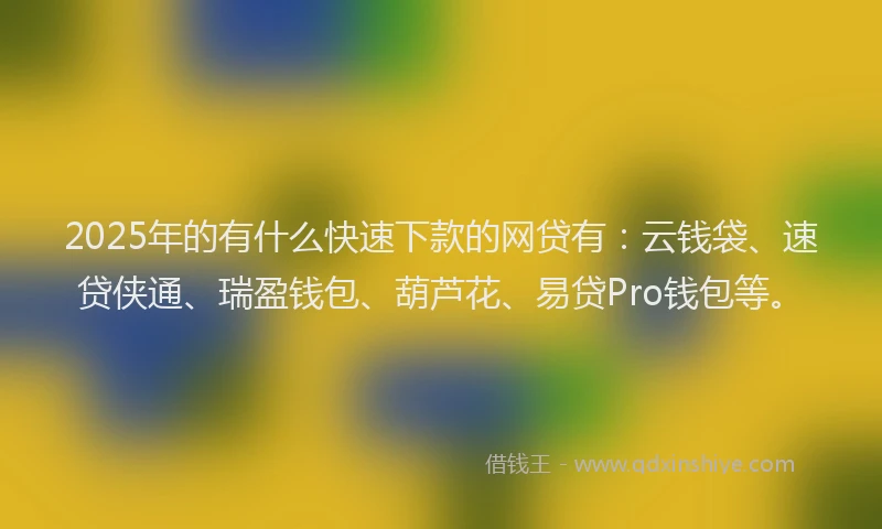 2025年的有什么快速下款的网贷有：云钱袋、速贷侠通、瑞盈钱包、葫芦花、易贷Pro钱包等。
