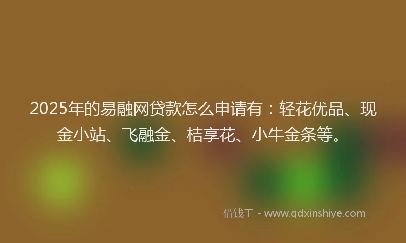 2025年的易融网贷款怎么申请有：轻花优品、现金小站、飞融金、桔享花、小牛金条等。