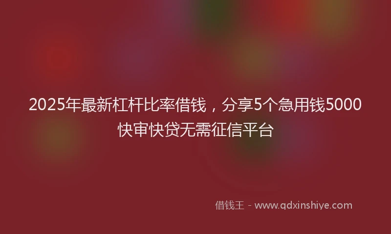 2025年最新杠杆比率借钱，分享5个急用钱5000快审快贷无需征信平台