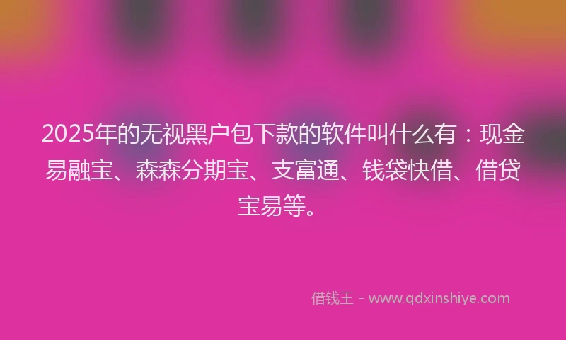 2025年的无视黑户包下款的软件叫什么有：现金易融宝、森森分期宝、支富通、钱袋快借、借贷宝易等。
