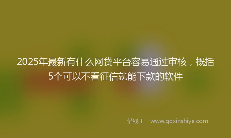 2025年最新有什么网贷平台容易通过审核，概括5个可以不看征信就能下款的软件