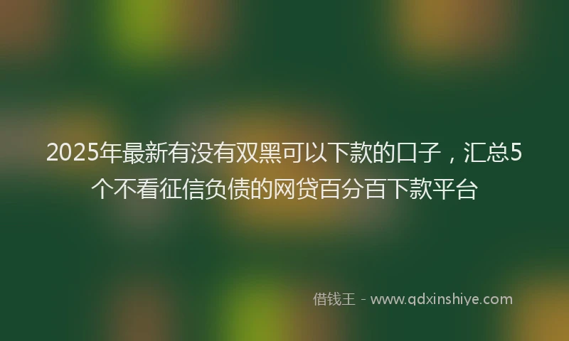 2025年最新有没有双黑可以下款的口子，汇总5个不看征信负债的网贷百分百下款平台