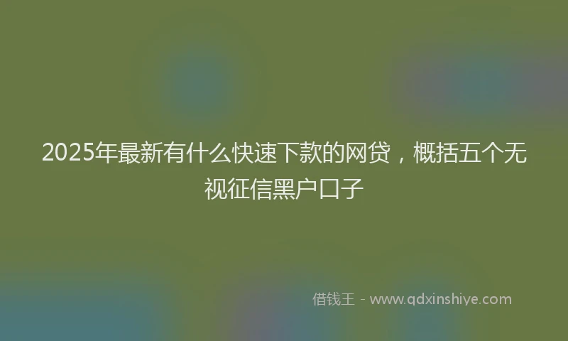 2025年最新有什么快速下款的网贷，概括五个无视征信黑户口子