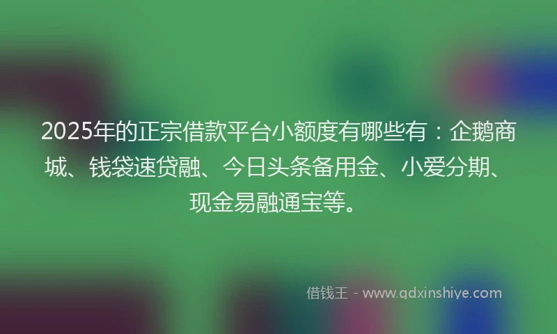 2025年的正宗借款平台小额度有哪些有：企鹅商城、钱袋速贷融、今日头条备用金、小爱分期、现金易融通宝等。