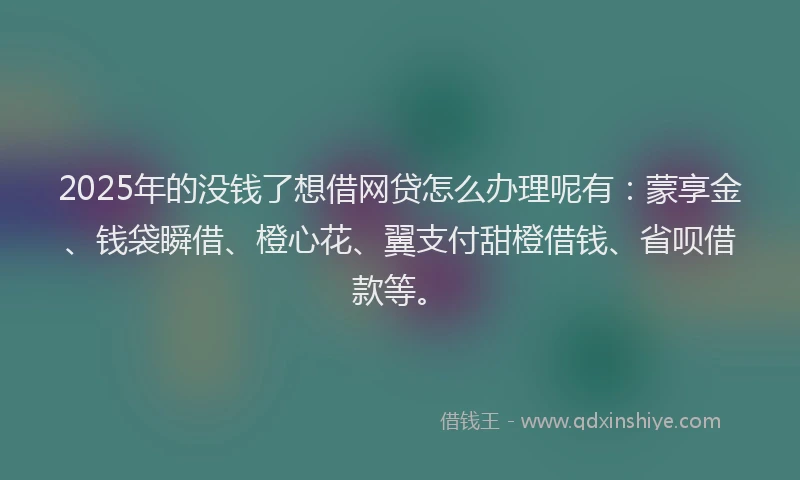 2025年的没钱了想借网贷怎么办理呢有：蒙享金、钱袋瞬借、橙心花、翼支付甜橙借钱、省呗借款等。