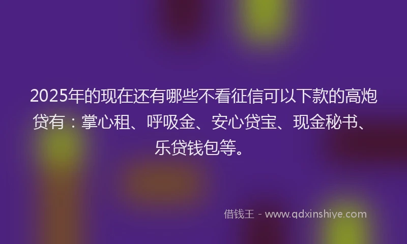 2025年的现在还有哪些不看征信可以下款的高炮贷有：掌心租、呼吸金、安心贷宝、现金秘书、乐贷钱包等。