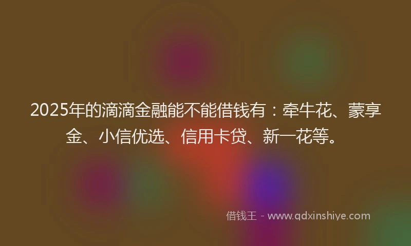 2025年的滴滴金融能不能借钱有：牵牛花、蒙享金、小信优选、信用卡贷、新一花等。