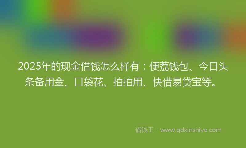2025年的现金借钱怎么样有：便荔钱包、今日头条备用金、口袋花、拍拍用、快借易贷宝等。