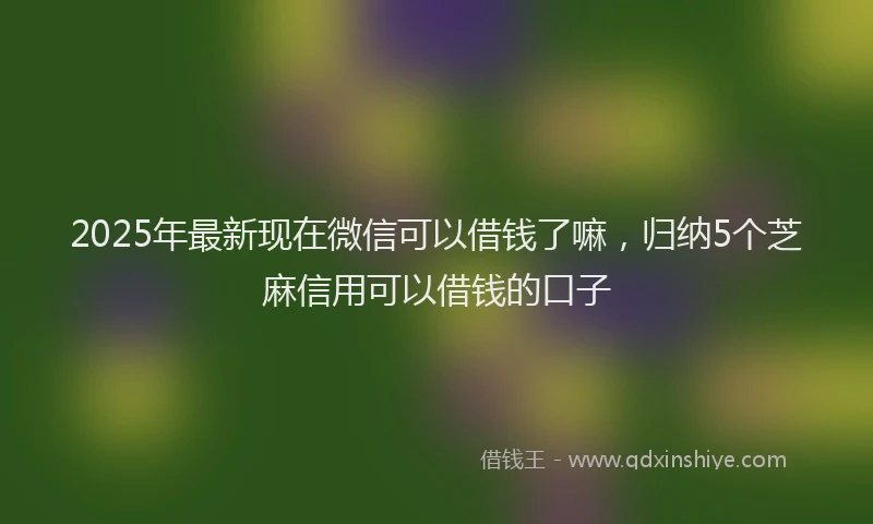 2025年最新现在微信可以借钱了嘛，归纳5个芝麻信用可以借钱的口子