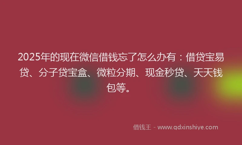 2025年的现在微信借钱忘了怎么办有：借贷宝易贷、分子贷宝盒、微粒分期、现金秒贷、天天钱包等。
