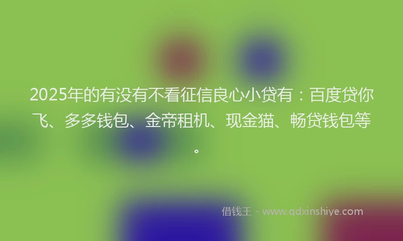 2025年的有没有不看征信良心小贷有：百度贷你飞、多多钱包、金帝租机、现金猫、畅贷钱包等。