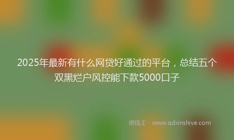2025年最新有什么网贷好通过的平台，总结五个双黑烂户风控能下款5000口子