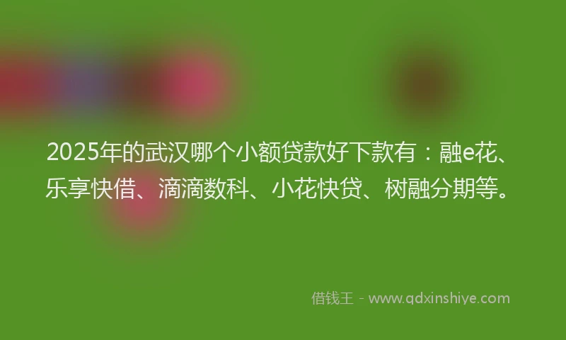 2025年的武汉哪个小额贷款好下款有：融e花、乐享快借、滴滴数科、小花快贷、树融分期等。