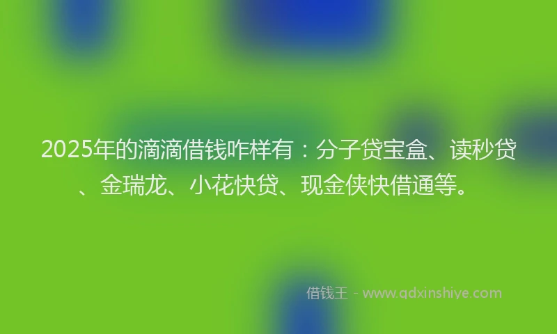 2025年的滴滴借钱咋样有：分子贷宝盒、读秒贷、金瑞龙、小花快贷、现金侠快借通等。