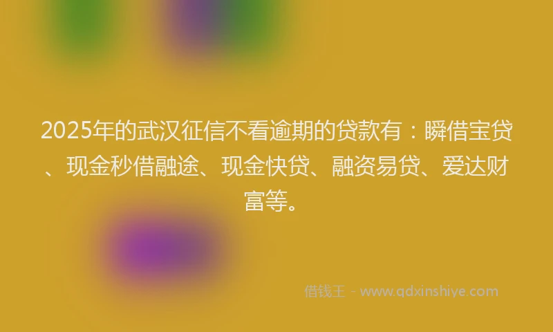 2025年的武汉征信不看逾期的贷款有：瞬借宝贷、现金秒借融途、现金快贷、融资易贷、爱达财富等。