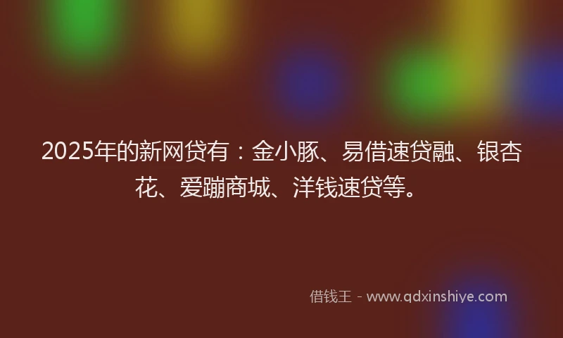 2025年的新网贷有：金小豚、易借速贷融、银杏花、爱蹦商城、洋钱速贷等。