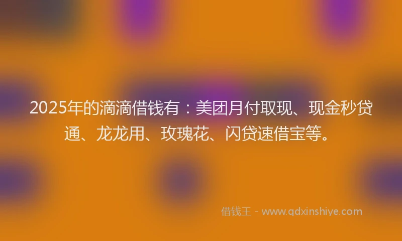 2025年的滴滴借钱有：美团月付取现、现金秒贷通、龙龙用、玫瑰花、闪贷速借宝等。
