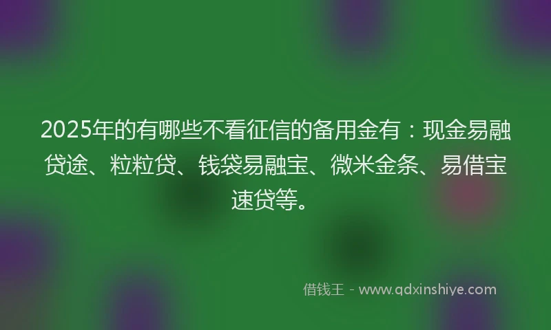 2025年的有哪些不看征信的备用金有：现金易融贷途、粒粒贷、钱袋易融宝、微米金条、易借宝速贷等。