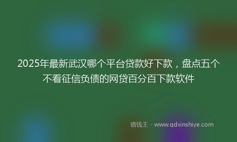 2025年最新武汉哪个平台贷款好下款，盘点五个不看征信负债的网贷百分百下款软件