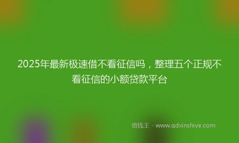 2025年最新极速借不看征信吗，整理五个正规不看征信的小额贷款平台