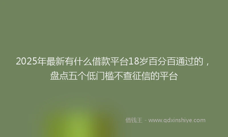 2025年最新有什么借款平台18岁百分百通过的，盘点五个低门槛不查征信的平台