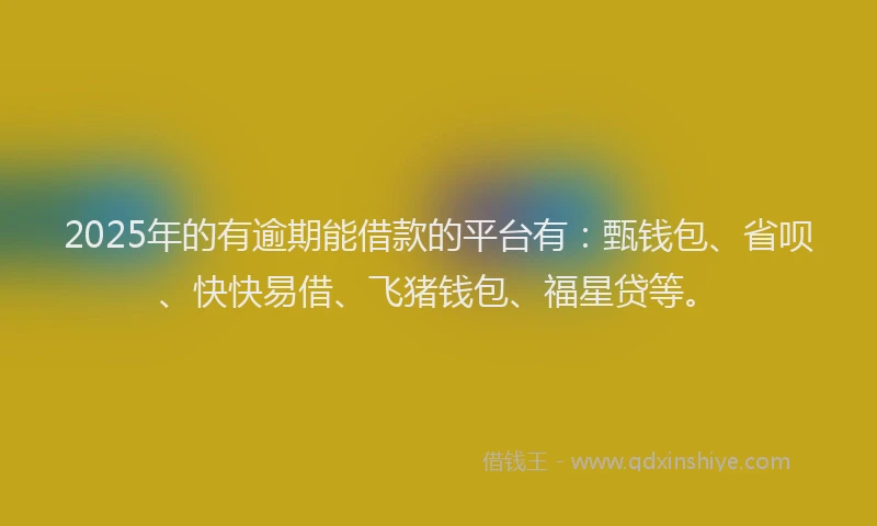 2025年的有逾期能借款的平台有：甄钱包、省呗、快快易借、飞猪钱包、福星贷等。