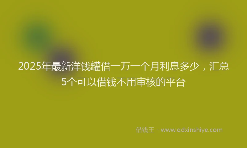 2025年最新洋钱罐借一万一个月利息多少，汇总5个可以借钱不用审核的平台