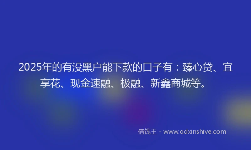 2025年的有没黑户能下款的口子有：臻心贷、宜享花、现金速融、极融、新鑫商城等。